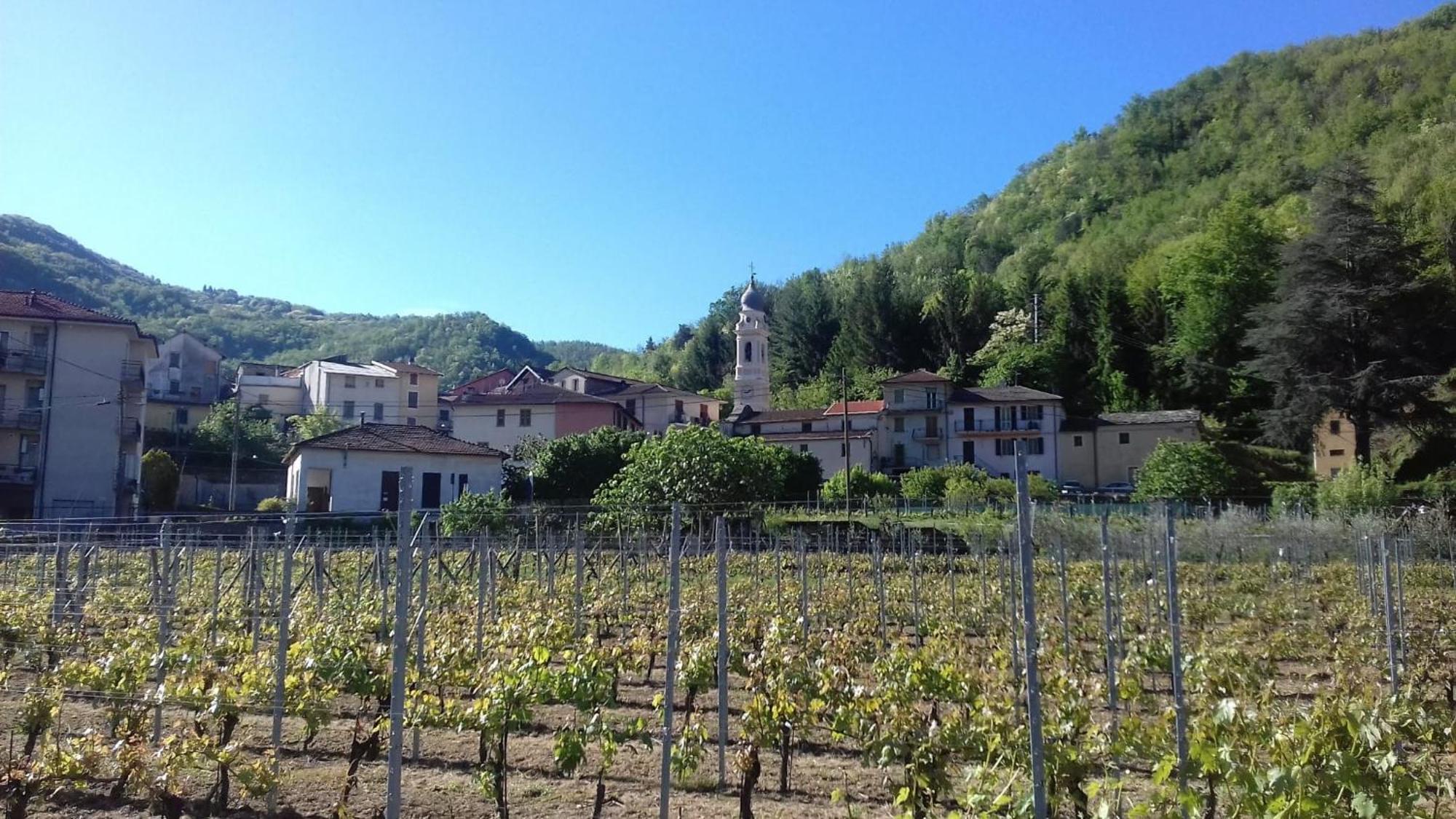 Agriturismo A Ca Du Paiperu Pieve di Teco Exterior foto